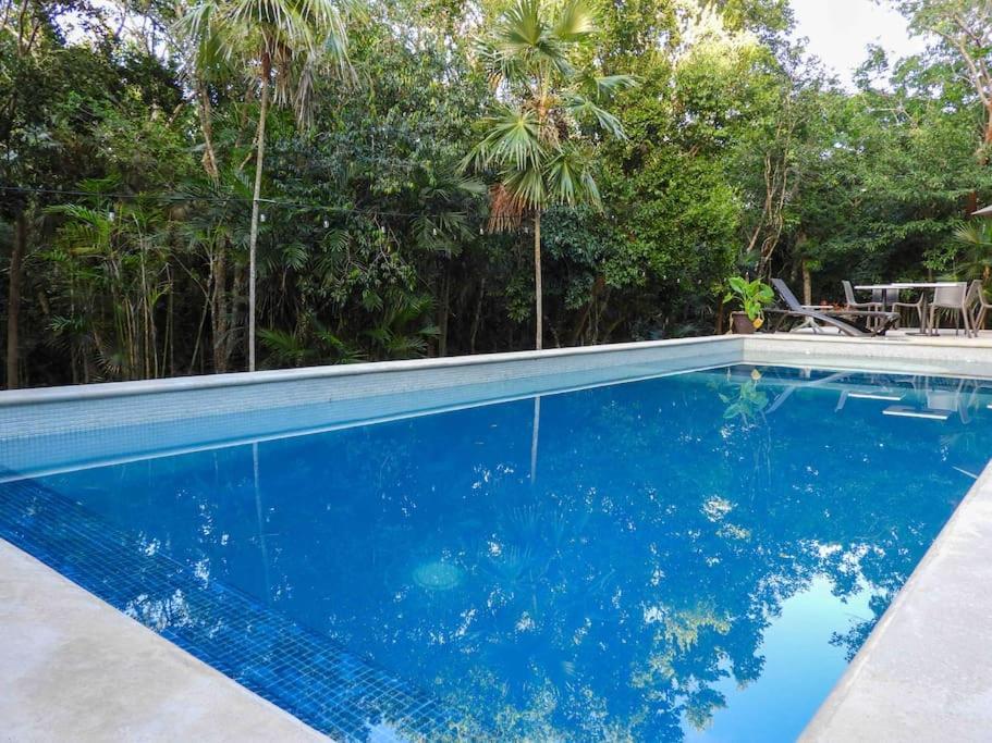Aku-Chic Newly Furbished Condo Jungle Pool Xetna Buitenkant foto